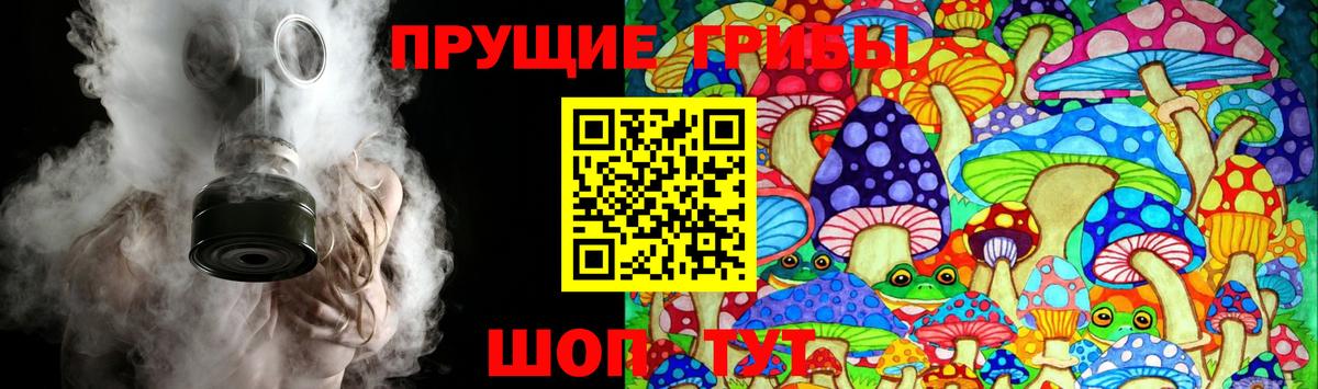 Кирово-Чепецк  Галлюциногенные грибы мицелий  Вход с VPN 