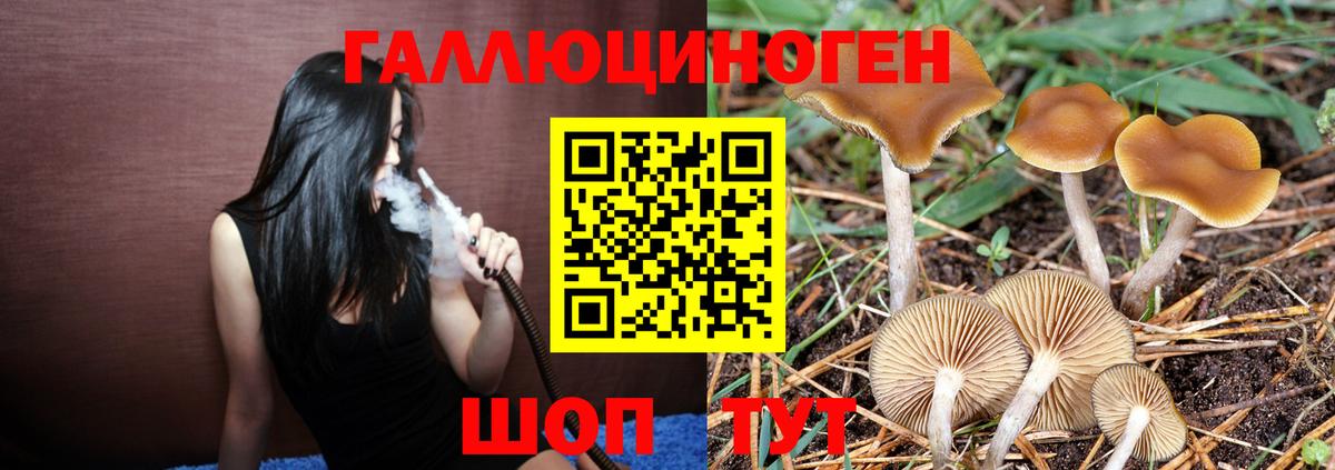 Галлюциногенные грибы Cubensis Кирово-Чепецк